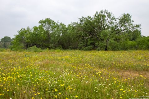 Farm in Atascosa TX 00 Shepherd 19.jpg