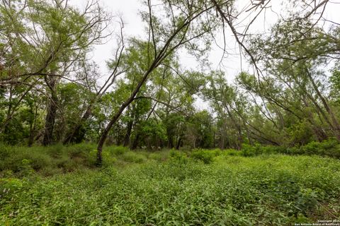 Farm in Atascosa TX 00 Shepherd 4.jpg