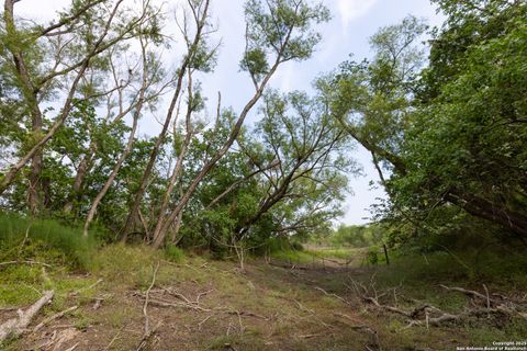 Farm in Atascosa TX 00 Shepherd 17.jpg