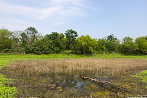 Farm in Atascosa TX 00 Shepherd 10.jpg