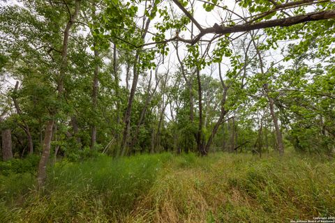 Farm in Atascosa TX 00 Shepherd 5.jpg