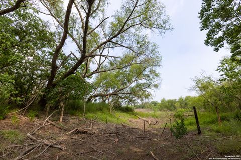 Farm in Atascosa TX 00 Shepherd 16.jpg