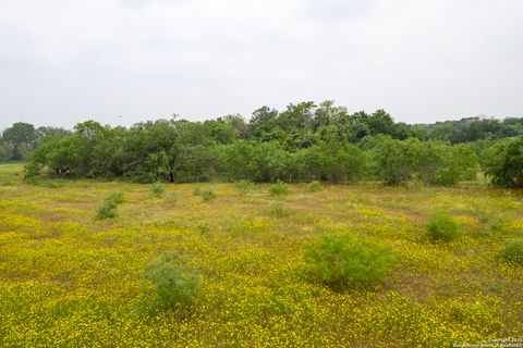 Farm in Atascosa TX 00 Shepherd 28.jpg