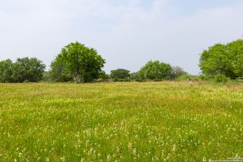 Farm in Atascosa TX 00 Shepherd.jpg