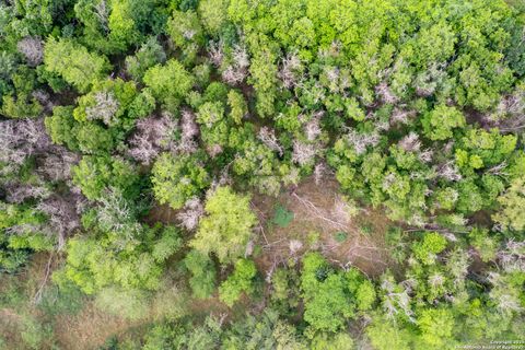 Farm in Atascosa TX 00 Shepherd 26.jpg