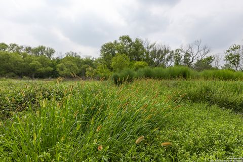 Farm in Atascosa TX 00 Shepherd 14.jpg