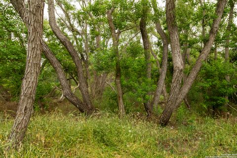 Farm in Atascosa TX 00 Shepherd 2.jpg