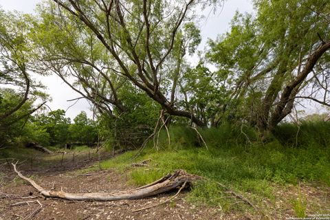 Farm in Atascosa TX 00 Shepherd 15.jpg
