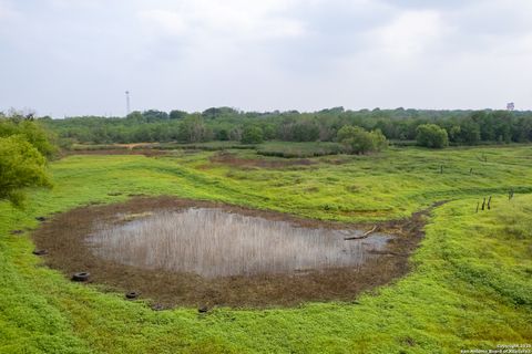 Farm in Atascosa TX 00 Shepherd 23.jpg
