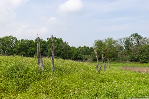 Farm in Atascosa TX 00 Shepherd 11.jpg