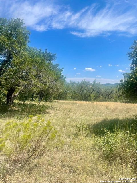  in Mico TX LOT 11 Pr 1713 3.jpg