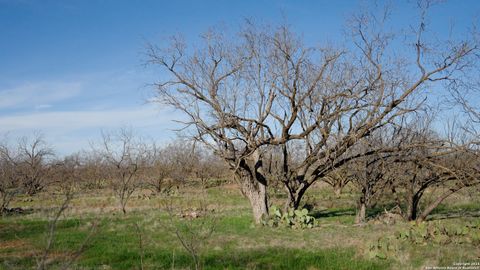 Farm in Ballinger TX 1001 County Road 293 (Tract A & B) 15.jpg