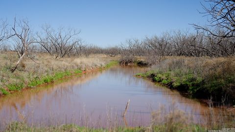 Farm in Ballinger TX 1001 County Road 293 (Tract A & B) 16.jpg