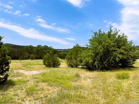  in Mico TX LOT 271 Pr 1743.jpg