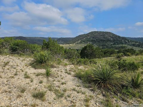 Farm in Tarpley TX . Aztec.jpg
