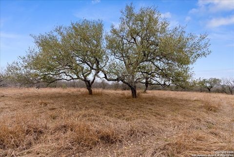  in Skidmore TX 00 Us-181 S.jpg