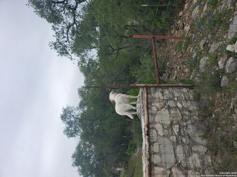 Single Family Residence in Mico TX 137 Pr 3501 Pr 22.jpg