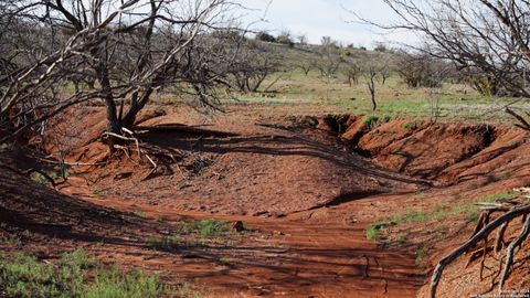 Farm in Ballinger TX 1000 County Road 293 (Tract C).jpg