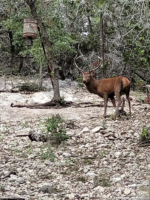 Farm in Tarpley TX 424 Sierra Vis.jpg