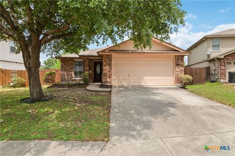 Single Family Residence in New Braunfels TX 360 Ibis Falls Drive.jpg