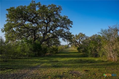 Farm in Goliad TX 8440 State Highway 239.jpg
