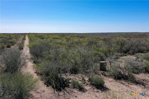  in George West TX TBD County Road 131.jpg