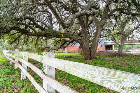 Farm in Beeville TX 3019 FM 673 14.jpg