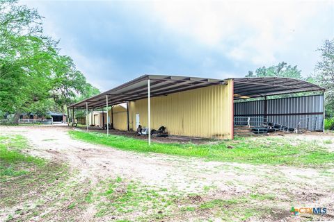 Farm in Beeville TX 3019 FM 673 15.jpg