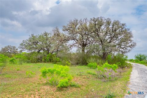 Farm in Beeville TX 3019 FM 673 20.jpg