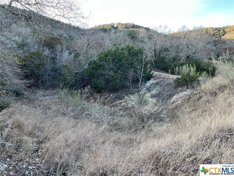  in Medina TX 696 Chili Canyon Road 14.jpg