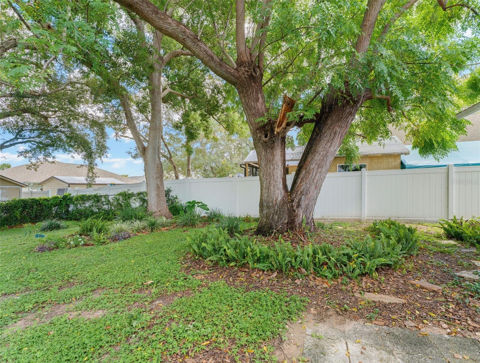 11113 Norvell Rd, Spring Hill, FL 34608 photo