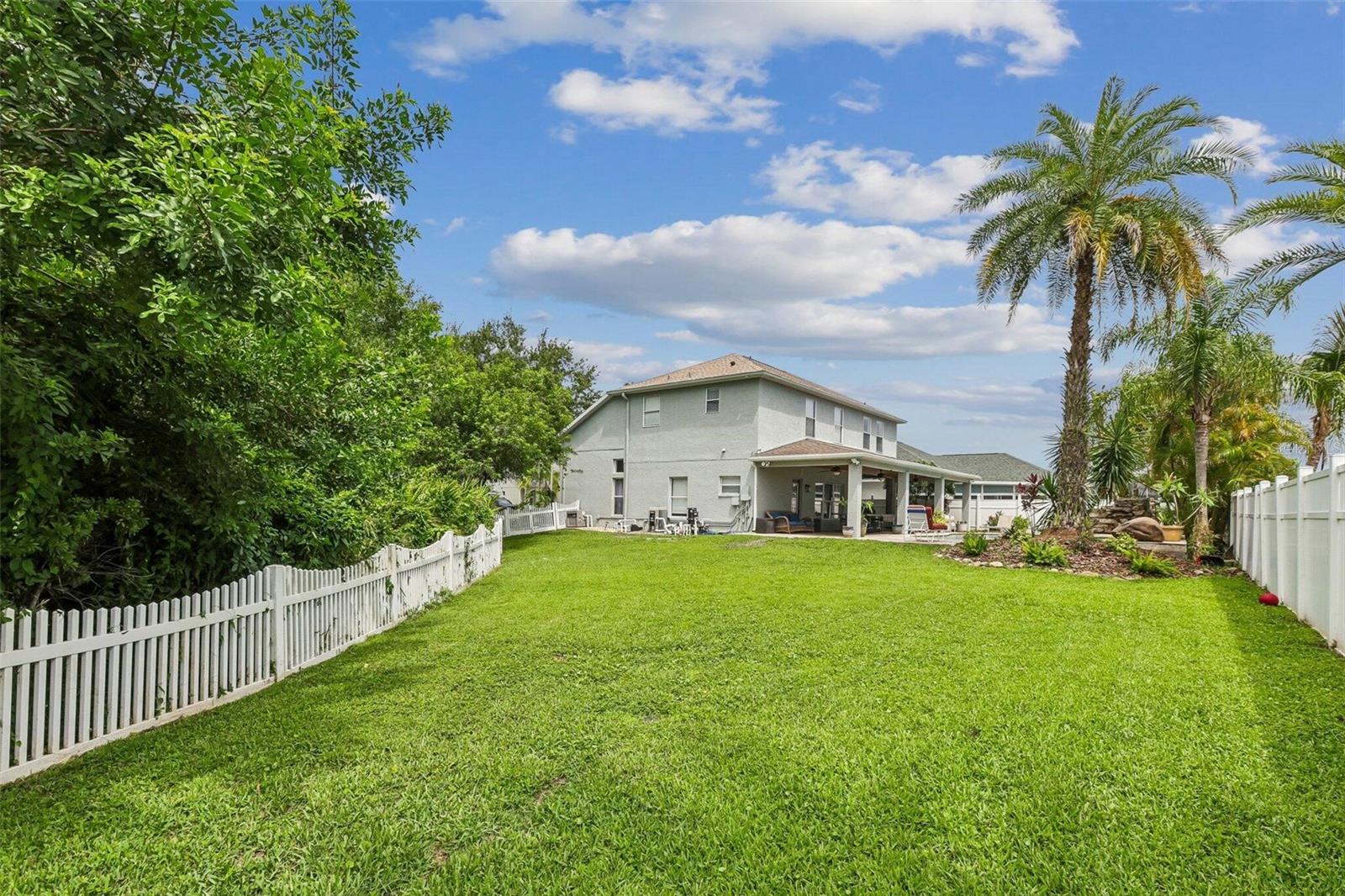 11612 Windsorton Way, Tampa, FL 33626 photo