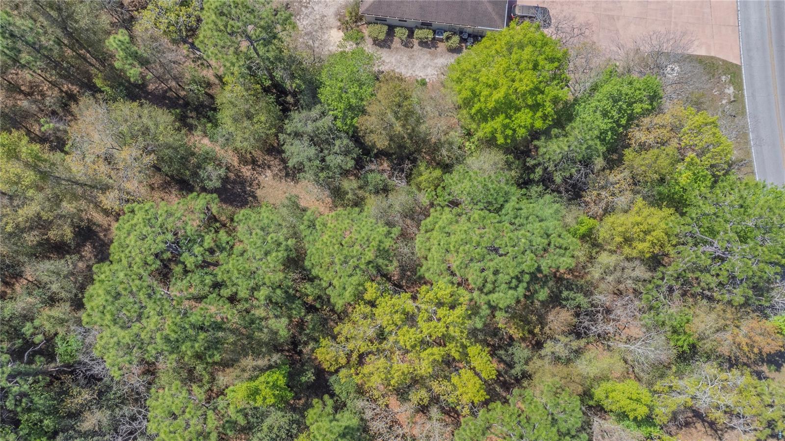 1 Pine St, Homosassa, FL 34446 photo