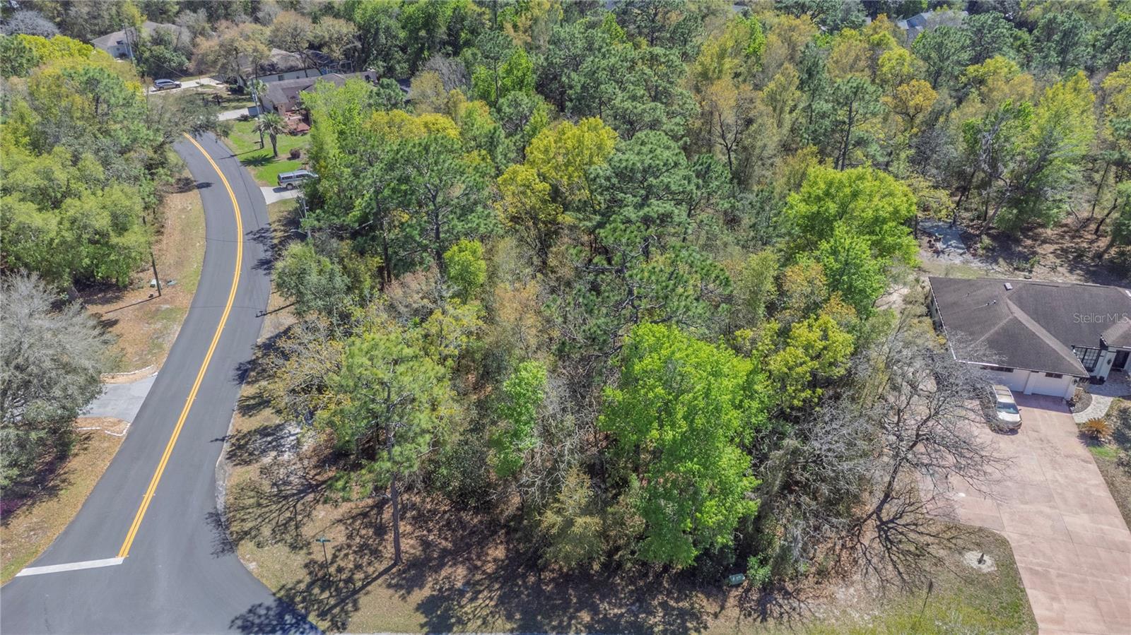 1 Pine St, Homosassa, FL 34446 photo