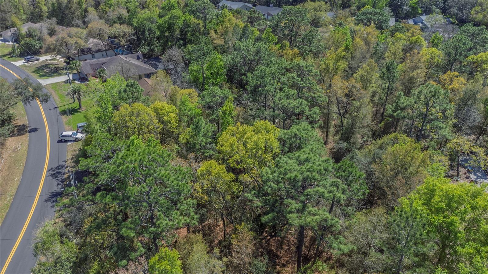 1 Pine St, Homosassa, FL 34446 photo