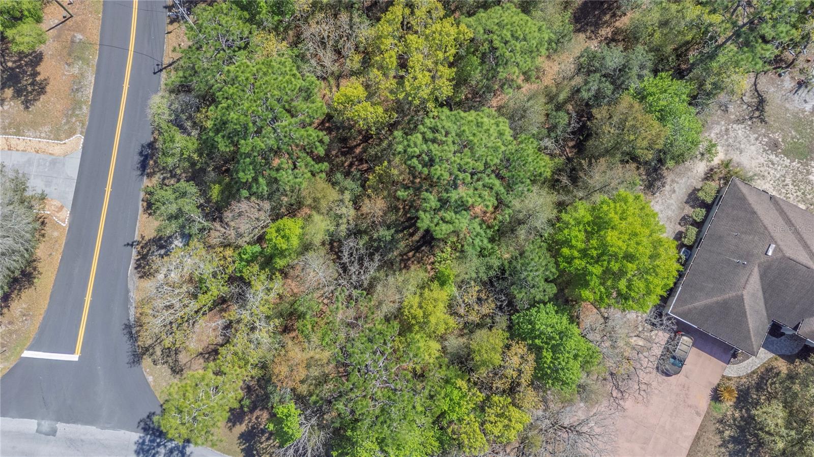 1 Pine St, Homosassa, FL 34446 photo