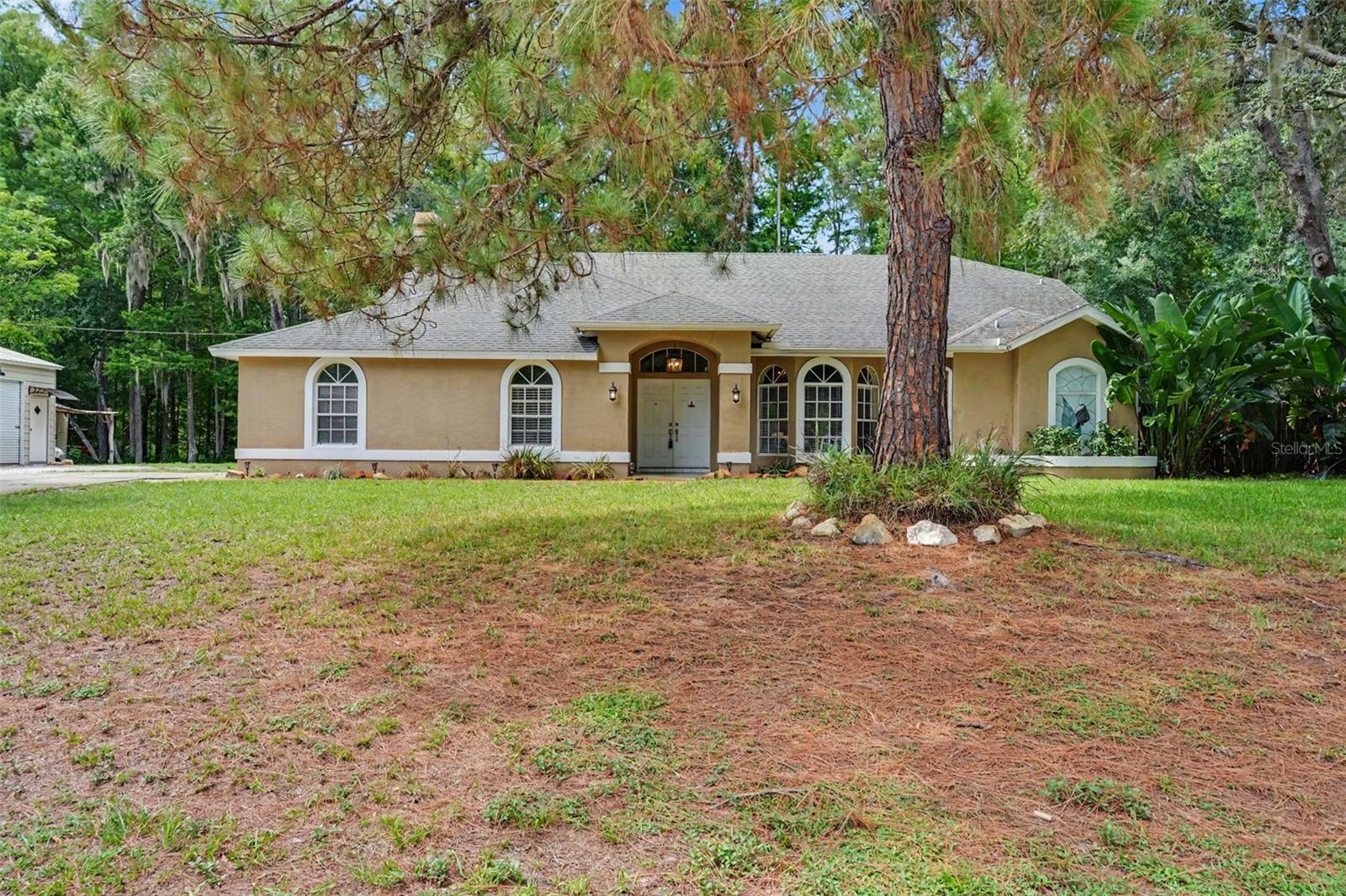 10551 Casey Dr, New Port Richey, FL 34654 photo