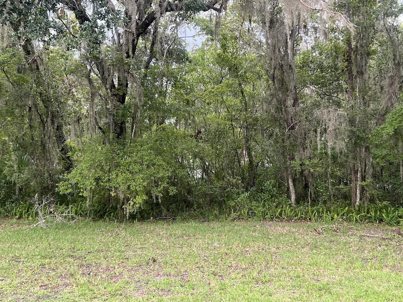 Union St, Brooksville, FL 34601 photo