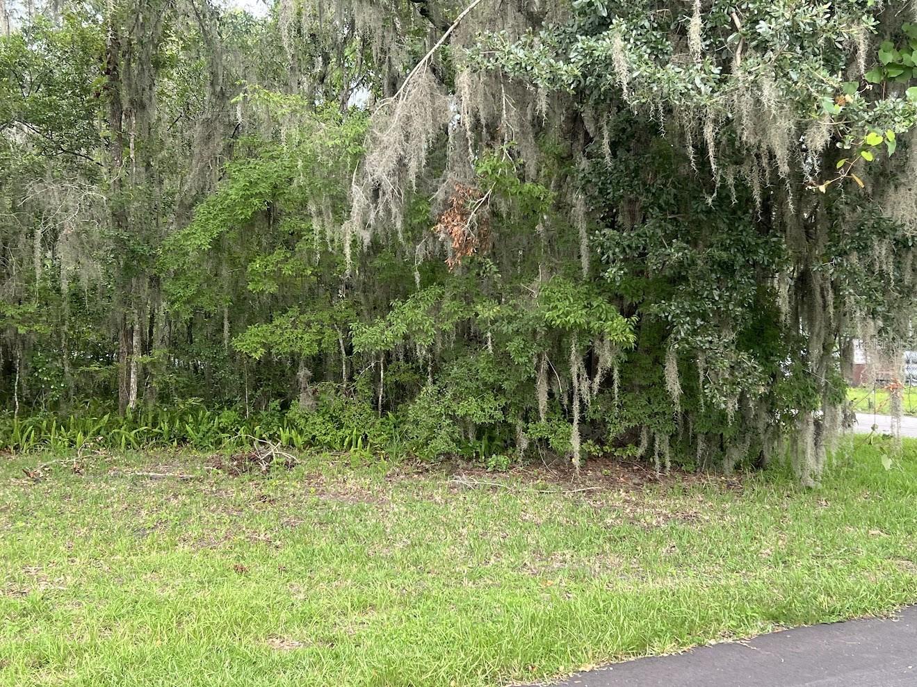 Union St, Brooksville, FL 34601 photo