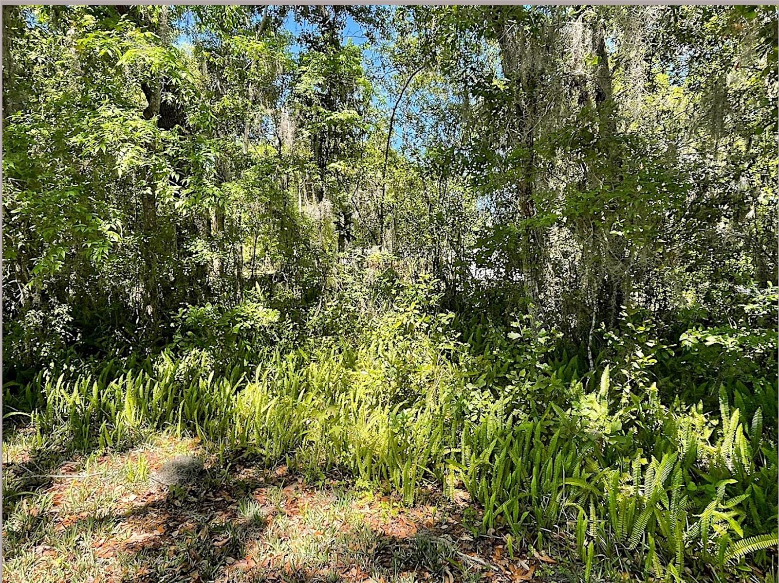 Union St, Brooksville, FL 34601 photo