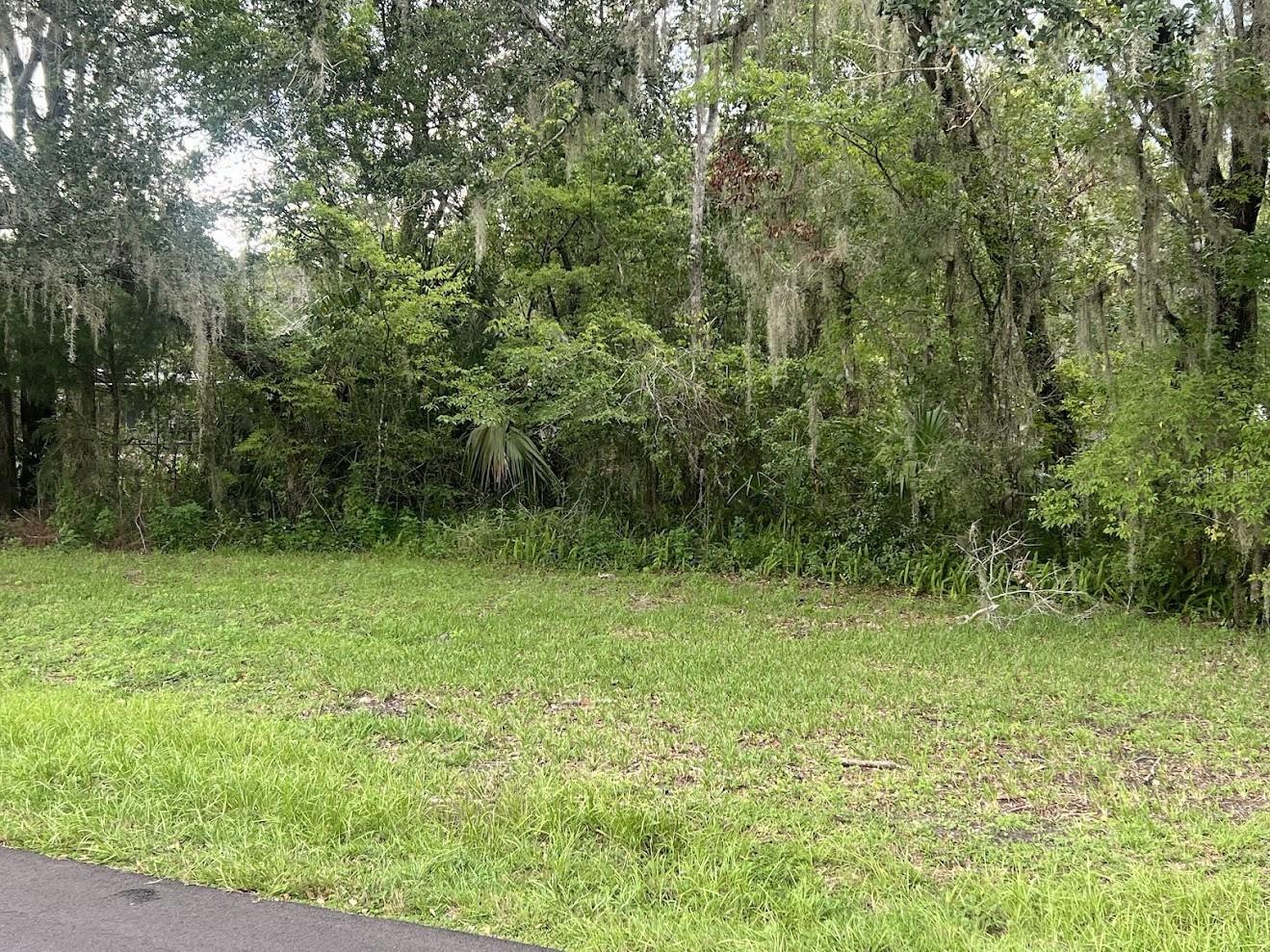 Union St, Brooksville, FL 34601 photo