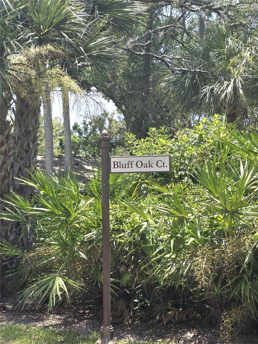 4045 Bluff Oak Ct, Palm Harbor, FL 34684 photo