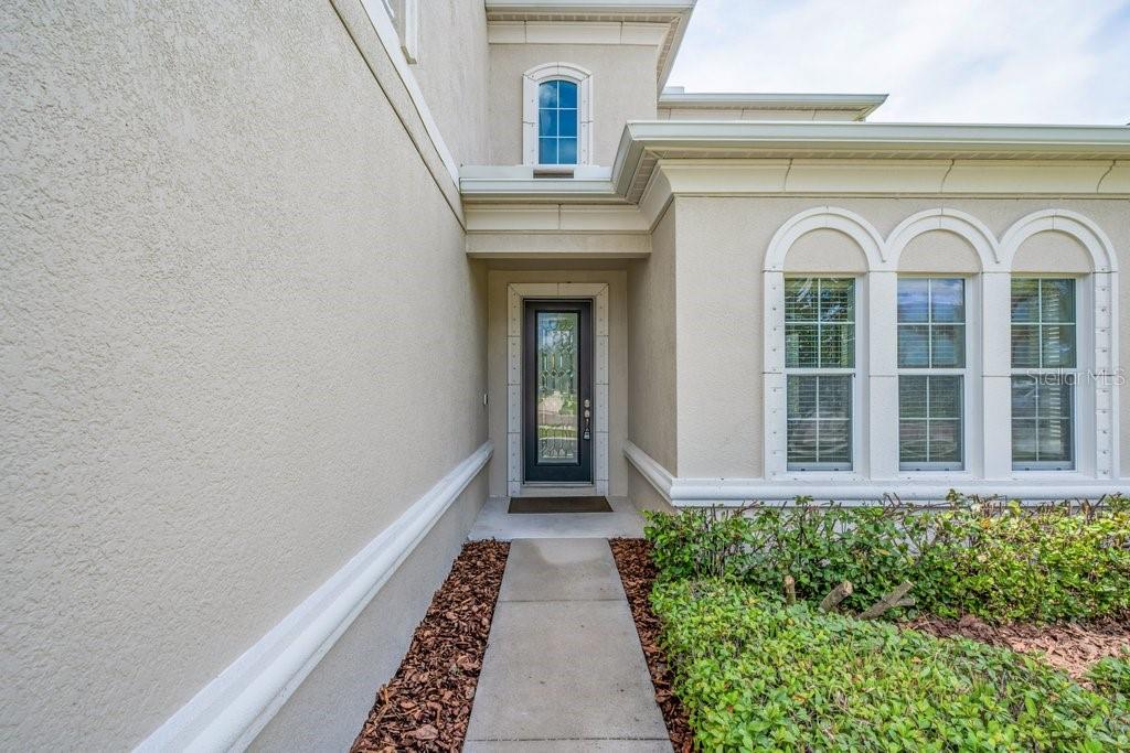 7225 Blue Beech Dr, Riverview, FL 33578 photo