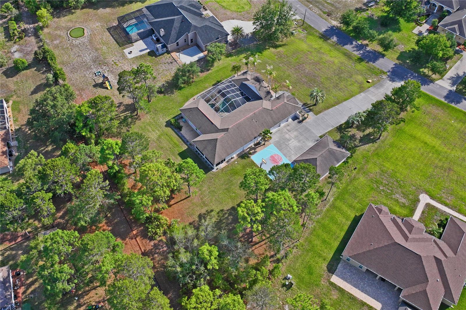 10120 Shortleaf Ct, Weeki Wachee, FL 34613 photo