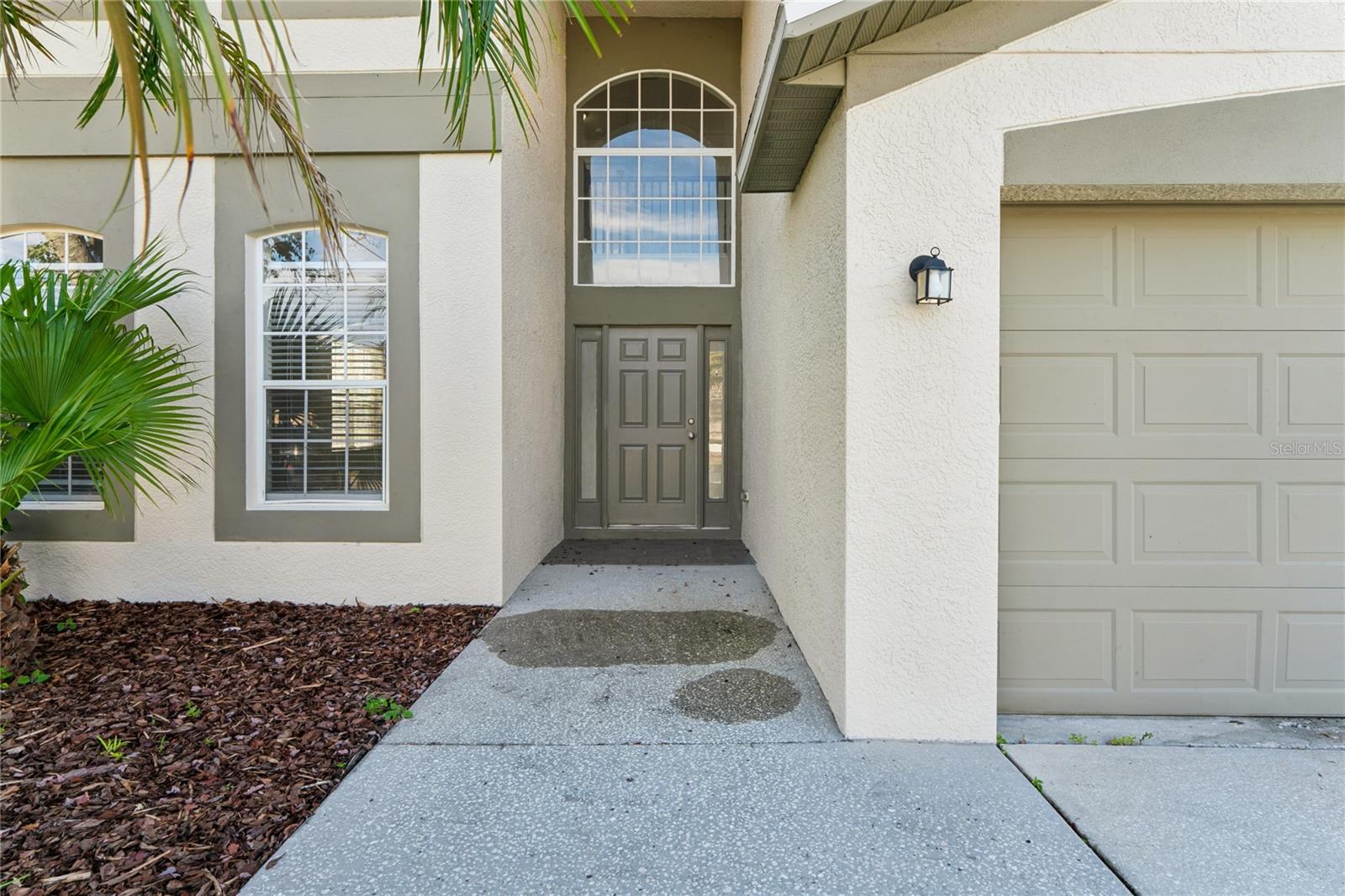 9138 Lost Mill Dr, Land O Lakes, FL 34638 photo