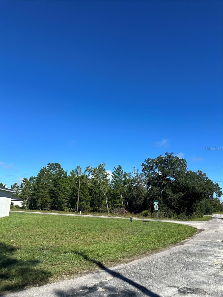 14 Fisher Ct, Ocklawaha, FL 32179 photo