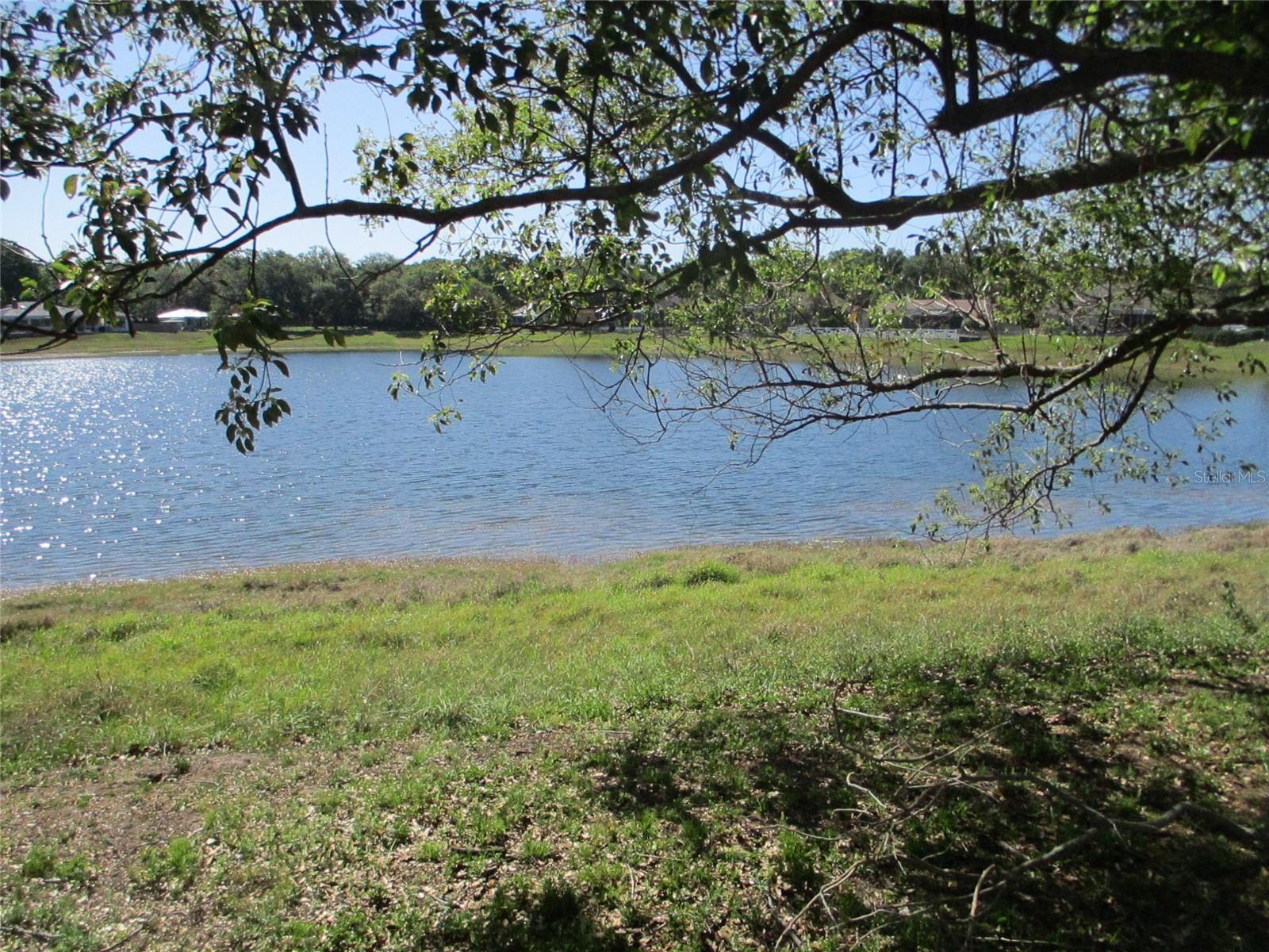 8904 Planters Ln, New Port Richey, FL 34654 photo
