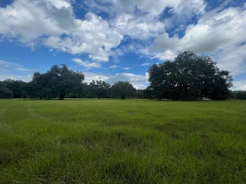 in ANTHONY FL 4160 NE 127TH PLACE.jpg