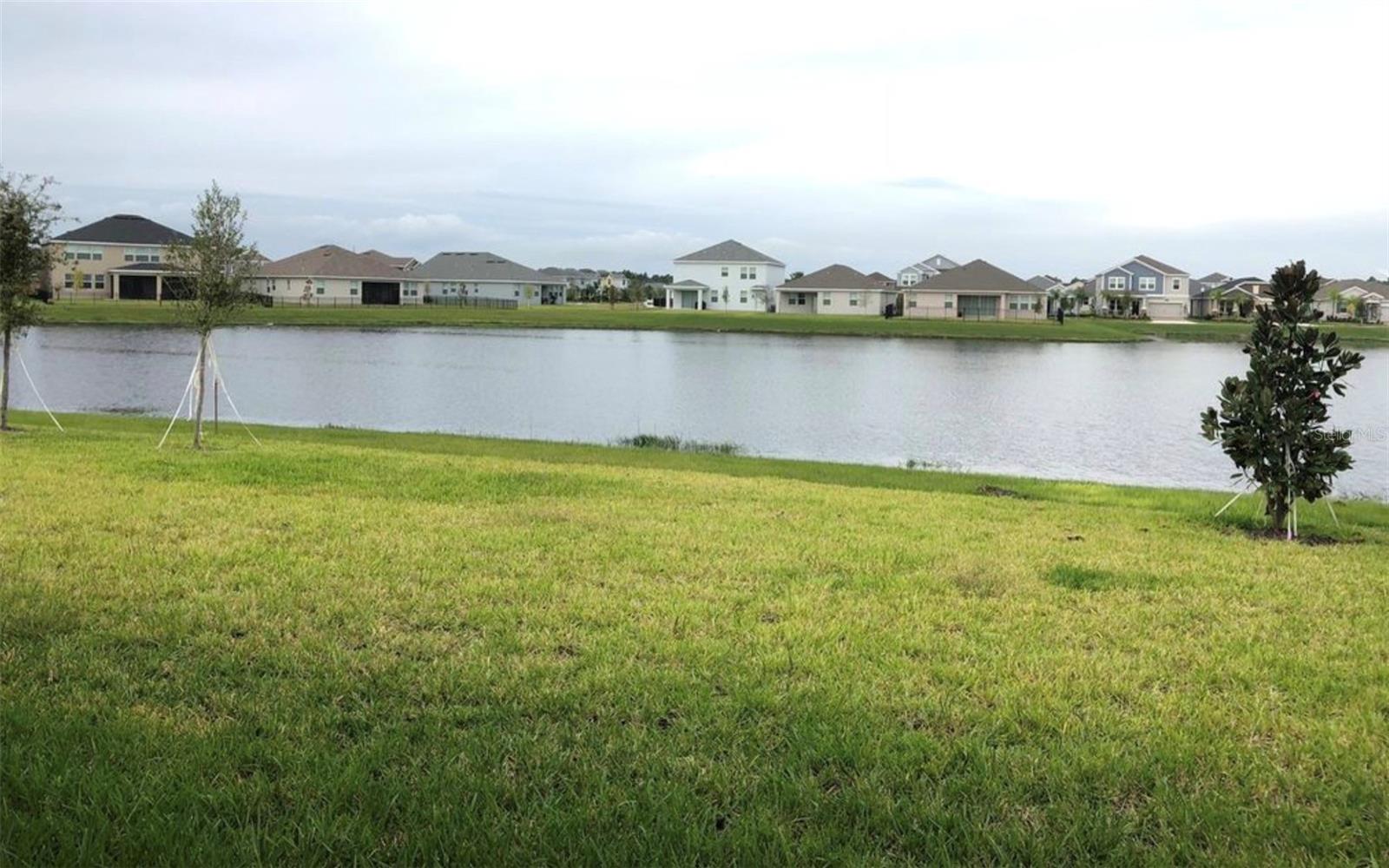 10229 Lovegrass Ln, Orlando, FL 32832 photo