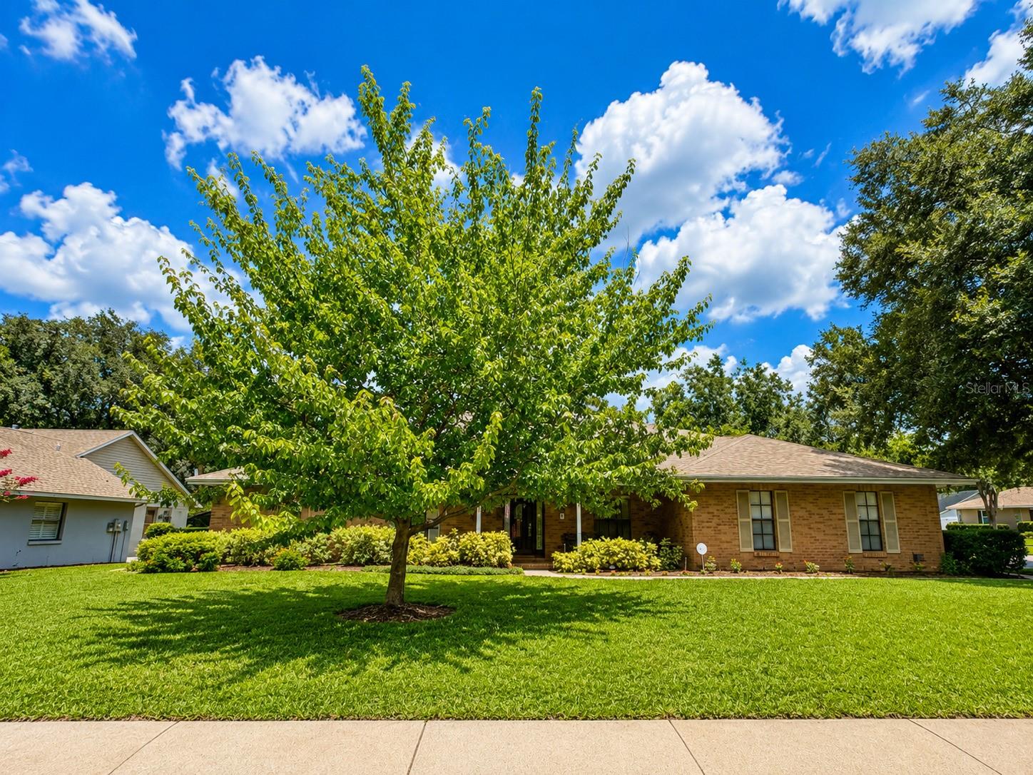 411 Summit Chase Dr, Valrico, FL 33594 photo